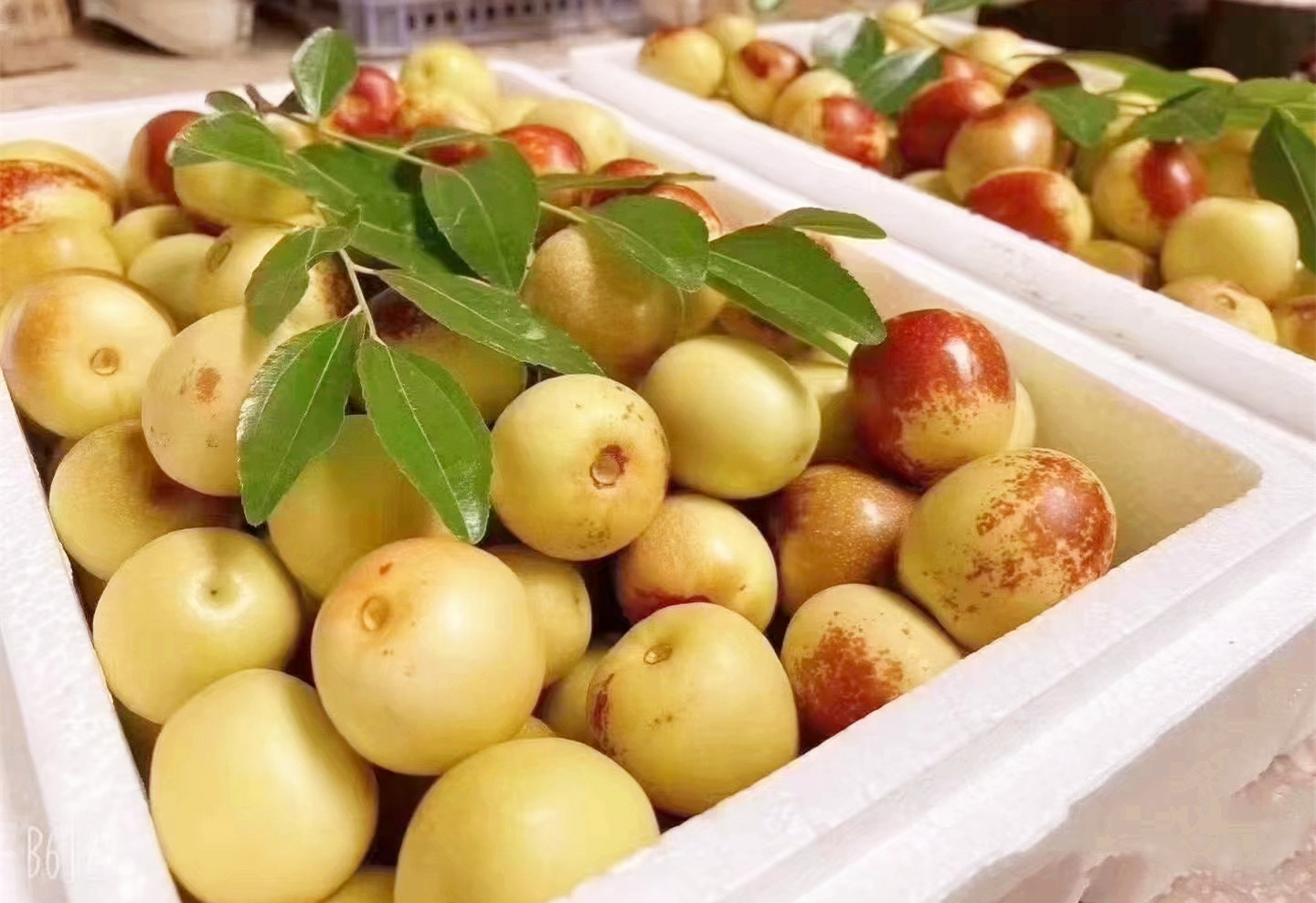 631afb506bf92.jpg 452715f25aaf3c7ca1909c5476a1deb.jpg